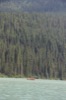 resIMG_20170712_194420_8570.JPG